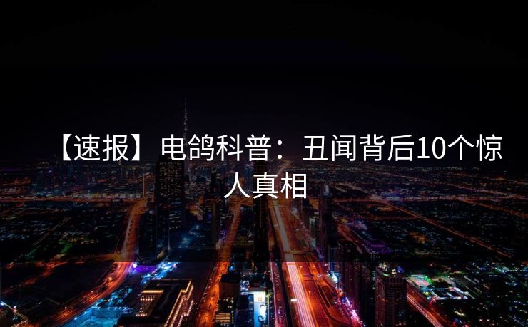 【速报】电鸽科普：丑闻背后10个惊人真相