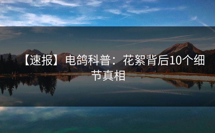 【速报】电鸽科普：花絮背后10个细节真相