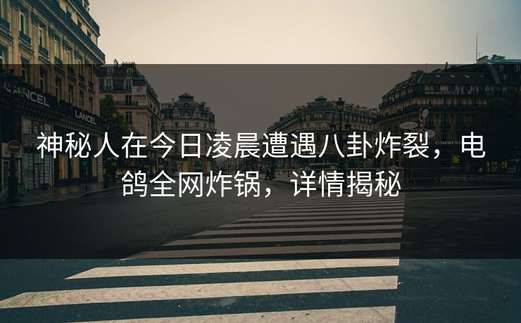 神秘人在今日凌晨遭遇八卦炸裂，电鸽全网炸锅，详情揭秘